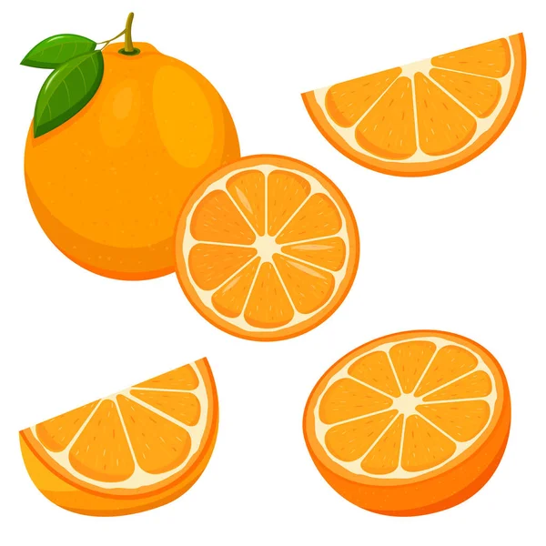 Set Fresh Whole Half Cut Slice Orange Fruit Isolated White — ストックベクタ