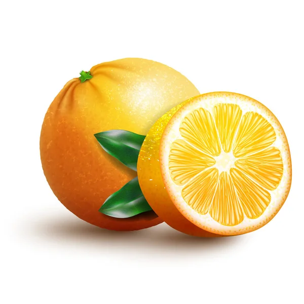 Ganze Und Geschnittene Orangen Früchte Mit Blatt Isoliert Auf Weißem — Stockvektor