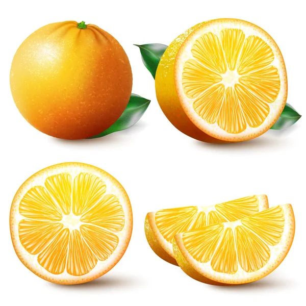 Set Isolated Colored Orange Half Slice Circle Whole Juicy Fruit — Stockvektor