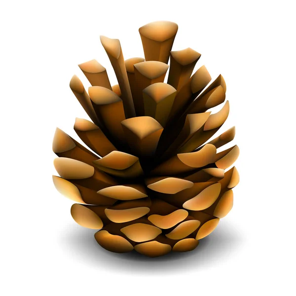 Pine Cone Shadow Vector Realistic Illustration — Archivo Imágenes Vectoriales