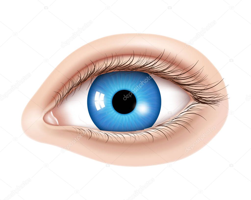 Vector 3d realistic human eye without makeup. Glossy blue iris with a macro details. Facial element on a skin background. Useful for design of laser vision correction and also make up, cosmetics.