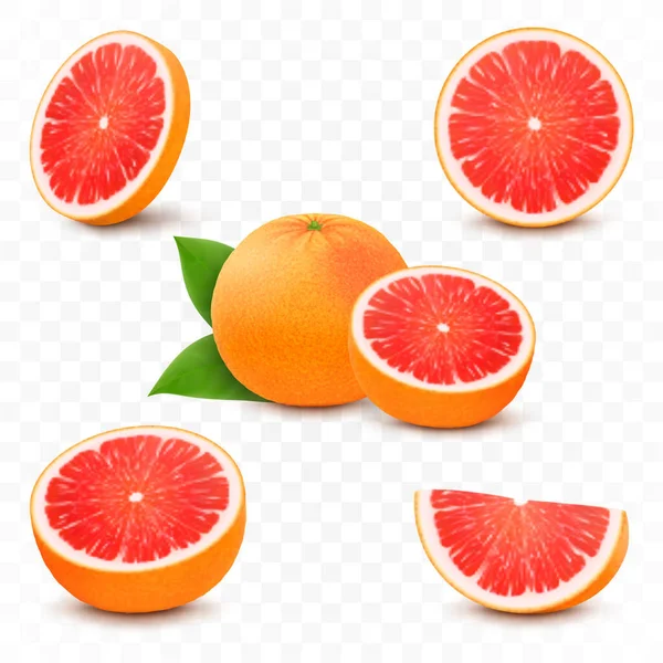 Set Fresh Juicy Grapefruit Leaves Half Slice Whole Citrus Fruit - Stok Vektor