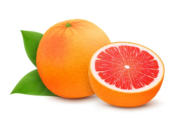 Whole Cut Grapefruits Leaf Isolated White Background Realistic Vector Illustration — Vetor de Stock