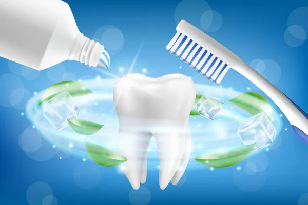 Zahnpastawerbung Zahnmodell Und Zahnpflegeproduktverpackungen Für Zahnpasta Plakate Oder Werbung Realistische — Stockvektor