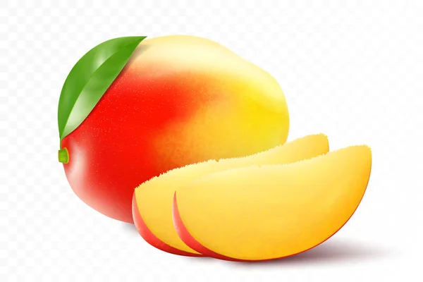 Ganze Und Scheiben Geschnittene Mango Frucht Mit Blatt Realistischer Isolierter — Stockvektor