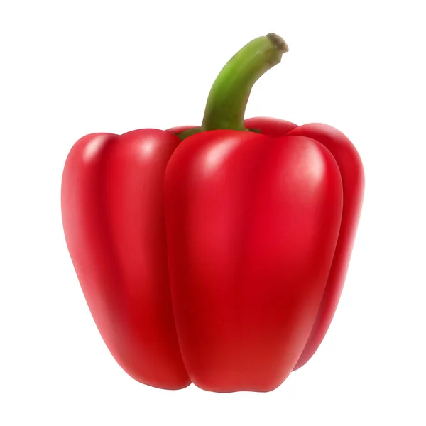 Red Bell Pepper Isolated White Background Sweet Paprika Vegetable Healthy — Image vectorielle