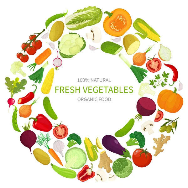 Vector Vegetables Icons Set Cartoon Flat Style Collection Farm Product — Image vectorielle