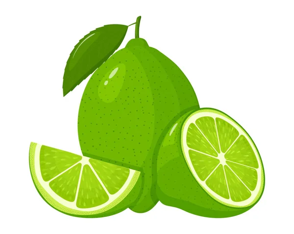 Fresh Whole Lime Half Lime Slice Leaves Isolated White Background — Stock Vector