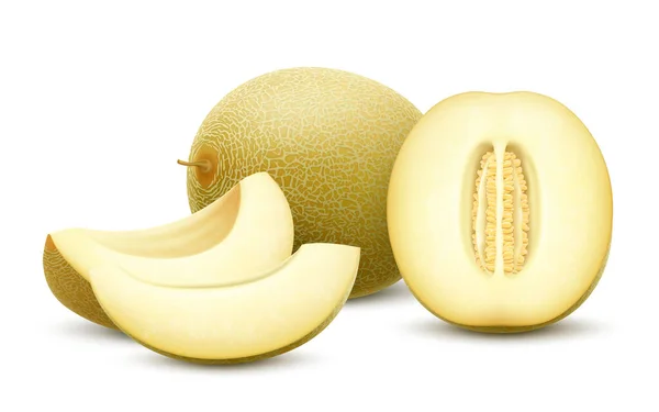 Set Fresh Whole Half Cut Slice Melon Fruit Isolated White — Vetor de Stock