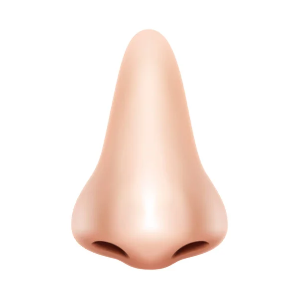 Human Nose Front View Realistic Background Isolated Design Vector Illustration — 图库矢量图片