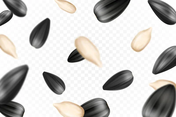 Sunflower Seeds Isolated Seamless Vector Pattern Realistic Shelled Seeds Isolated — 图库矢量图片
