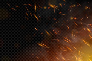 Fire. Fire sparks flying up on transparent background. Smoke and glowing particles on black. Realistic lighting sparks with bokeh effect for design. Vector illustration.