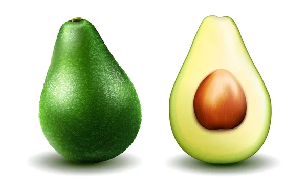 Realistic Green Avocado Healthy Eating Rendering Whole Slice Halved Avocado — Stok Vektör