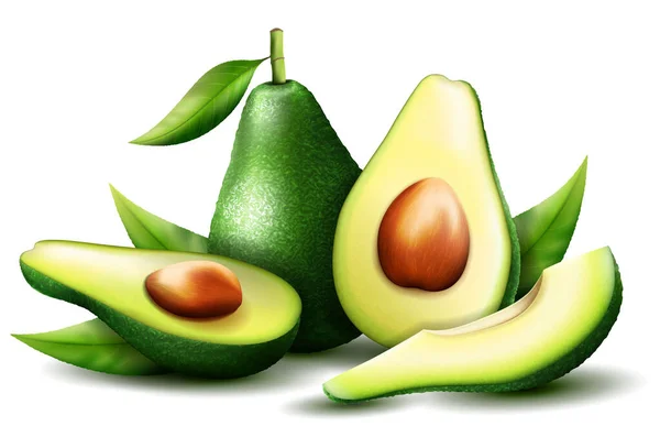 Realistic Green Avocado Healthy Eating Rendering Whole Slice Halved Avocado — Vetor de Stock