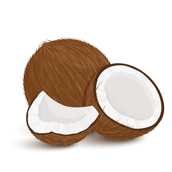 Set Van Exotisch Geheel Half Gesneden Stukjes Kokosfruit Geïsoleerd Witte — Stockvector