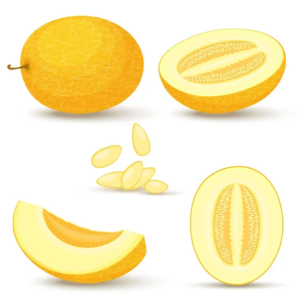 Melon Vector Set Whole Sliced Half Yellow Musbuzz Isolated White — Stock Vector