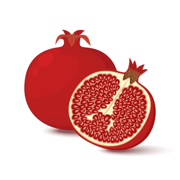 Vector Pomegranate Garnet Whole Half Pomegranate Icon Set Flat Cartoon — Stok Vektör