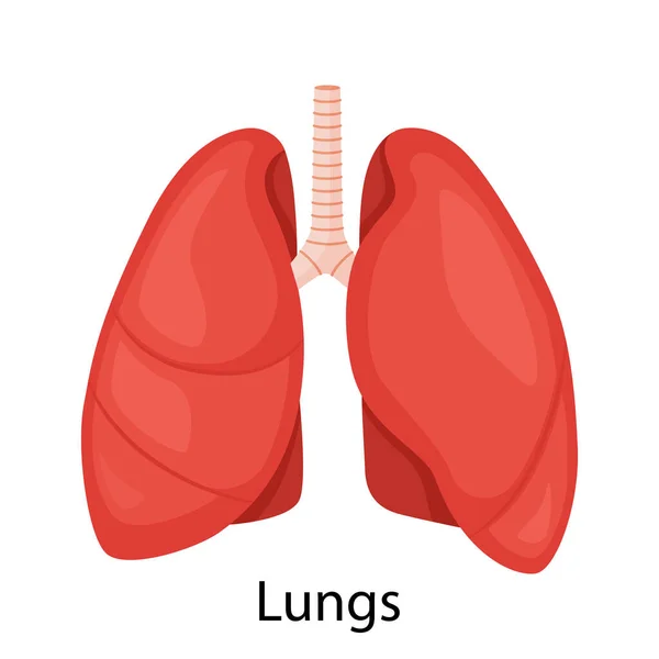 Lungs Icon Flat Style Internal Organs Human Design Element Logo — 스톡 벡터