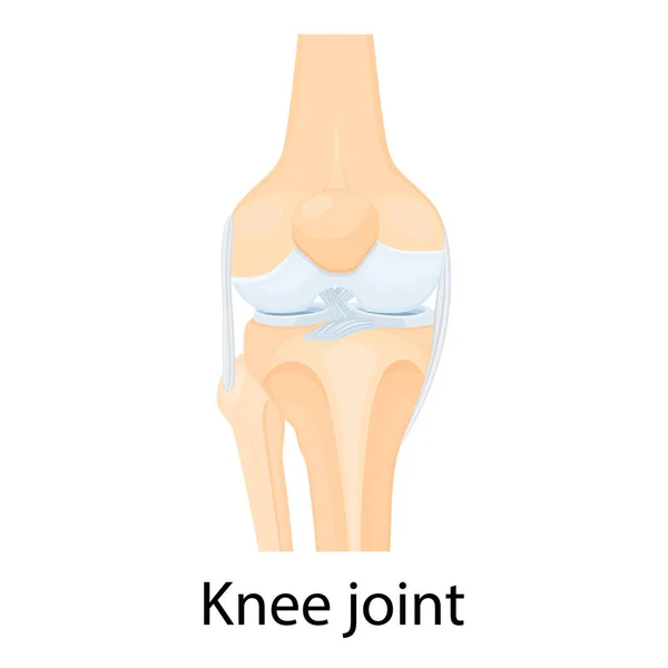 Knee Joint Isolated Vector Illustration Flat Design Ligaments Knee Anterior — Image vectorielle