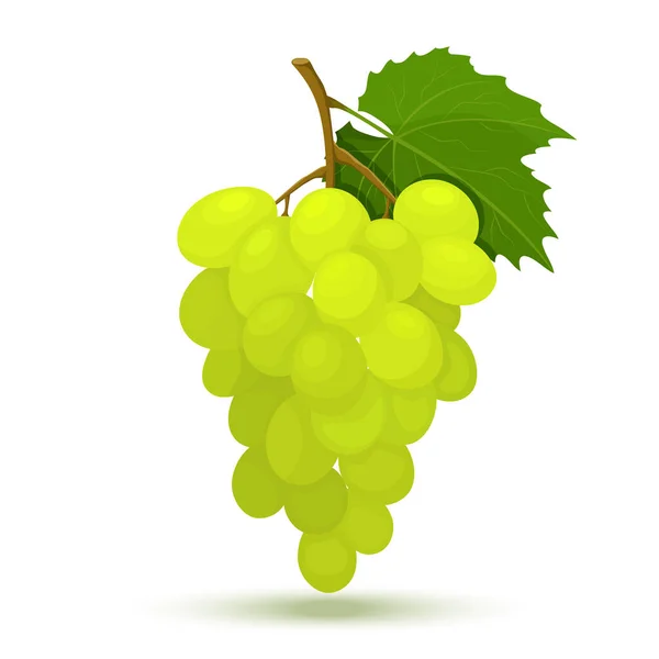 Bunch Yellow Green Grapes Vine Leaves Vector Flat Design Illustration — ストックベクタ