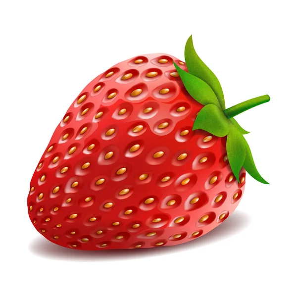 One Whole Strawberry Fresh Red Ripe Mellow Berry White Background — Vector de stock