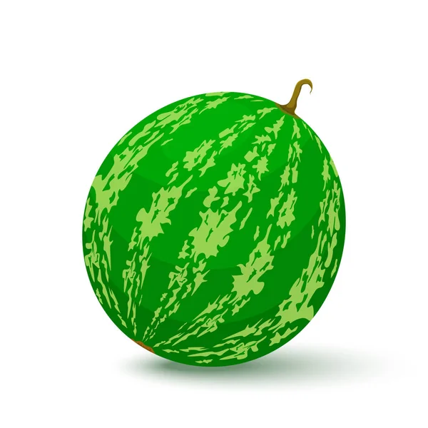 Wassermelonen Symbol Flachen Stil Isoliertes Objekt Wassermelonen Logo Vektor Illustration — Stockvektor