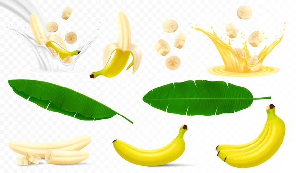 Set of banana fruits, bunch of bananas, peel, peeled banana, slices and halves, leaves from a banana palm, splash of banana in milk or juice. Realistic 3d vector illustration, isolated