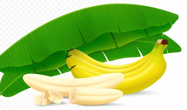 Composition Banana Fruits Bunch Bananas Peeled Banana Slices Halves Leaves — Zdjęcie stockowe