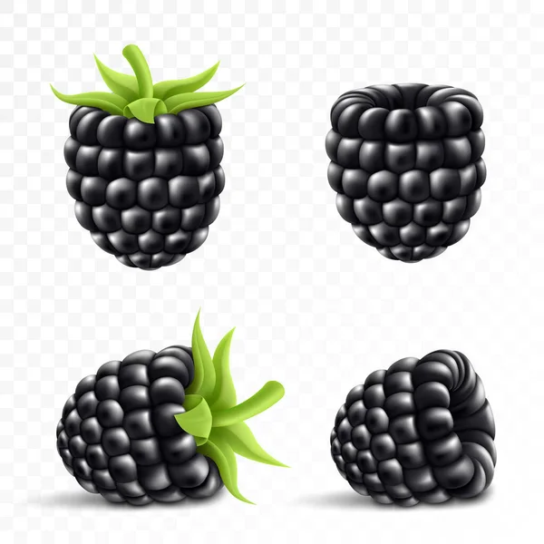 Blackberry Dulce Fruta Bayas Del Bosque Vector Iconos Conjunto Ilustración — Foto de Stock