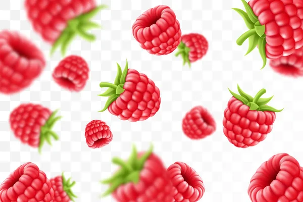 Raspberry Background Flying Raspberry Green Leaf Transparent Background Raspberry Falling — Archivo Imágenes Vectoriales
