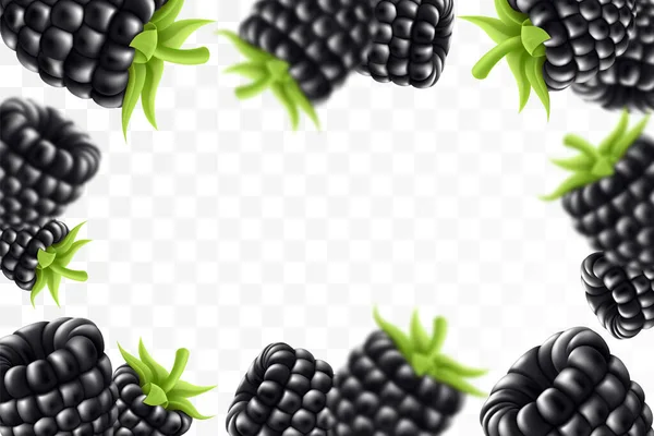Blackberry Fond Mûre Volante Avec Feuille Verte Sur Fond Transparent — Image vectorielle