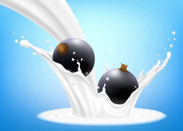 Groselha Preta Respingo Leite Iogurte Baga Fresca Cai Leite Ilustração — Vetor de Stock