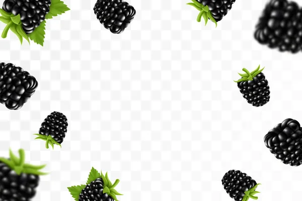 Blackberry Фон Летит Ежевика Зеленым Листом Прозрачном Фоне Blackberry Падает — стоковый вектор