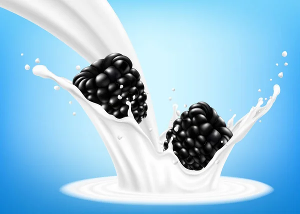 Fresh Blackberry Splash Milk Yogurt Fresh Berry Falls Milk Realistic — Archivo Imágenes Vectoriales