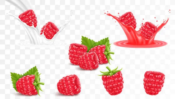 Collection Ripe Raspberries Isolated Transparent Background Raspberry Splash Juice Drops — Vetor de Stock