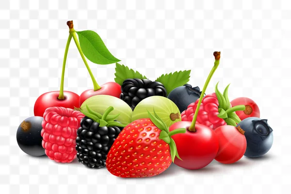 混合不同的浆果 新鲜的各种草莓 覆盆子 越橘和蓝莓 被白色的背景隔离 现实的3D矢量说明 — 图库矢量图片