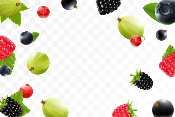 透明な背景の上にラズベリー ブラックベリー グーズベリー スグリ クランベリー ブルーベリーを飛んでいます 果実は異なる角度で落ちます 焦点とぼやけた物体 3Dリアルなベクトル — ストックベクタ