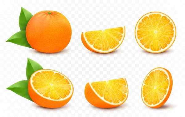 Arancio Con Foglie Metà Fetta Cerchio Frutti Succosi Interi Isolati — Vettoriale Stock