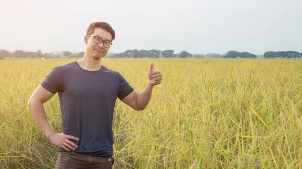 Azjatycki Młody Człowiek Stojący Polu Ryżu — Zdjęcie stockowe