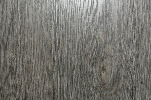 Lacquered Gray Wood Texture Wood Veneer Background Wood Cut Patterns — Stock Photo, Image
