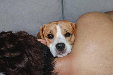 Adam kanepede köpekle uyuyor. Köpek kameraya bakıyor.