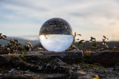 A lensball on an overgrown wall
