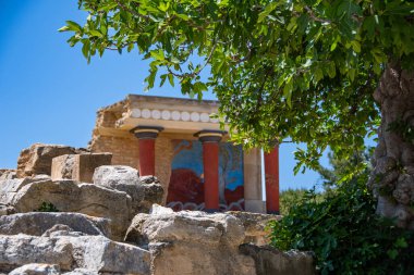 Yunan adası Girit 'teki antik Knossos sarayı (ağaçtaki yapraklara odaklan)