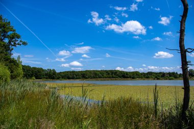 Güneşli bir günde 