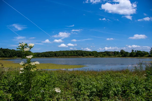 Rodder Maar Sunny Day — Stock Photo, Image