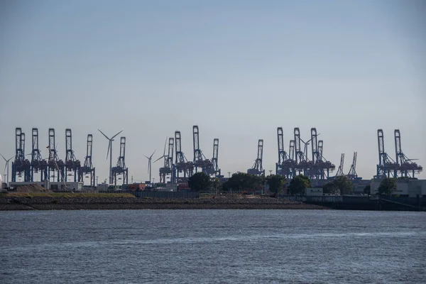 Hamburg Germany June 2022 Container Cranes Port Hamburg — Foto de Stock