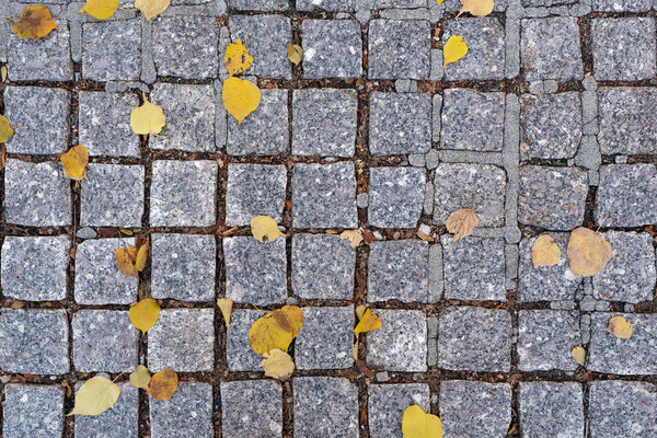 Cobblestone background with yellow leaves