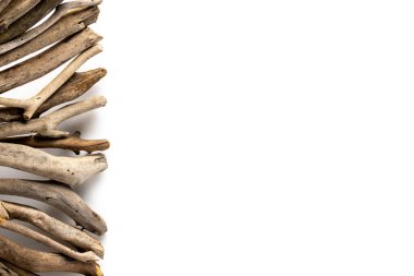 dry brown branch border isolated on white background