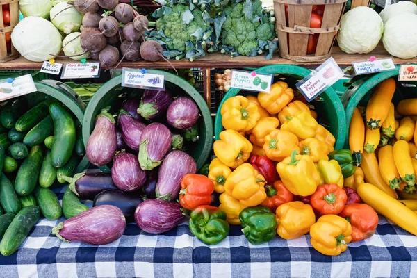 colorful produce on a table covered with a blue and white checkered tablecloth including eggplant, yellow, red, orange, and green bell peppers as well as cucumbers and squash at the farmers market