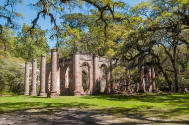 Beaufort County, Güney Carolina 'daki Eski Sheldon Kilisesi kalıntılarının kırmızı tuğladan iskeleti etrafındaki ağaçlarda İspanyol yosunları asılı.